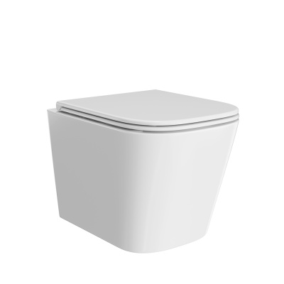 Унитаз Cubo/Кубо подвесной безободковый с крепежом и сиденьем, белый глянцевый Унитаз Cubo/Кубо подвесной безободковый с крепежом и сиденьем, белый глянцевый