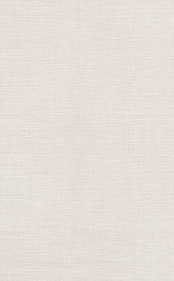 Мерлетто матовый 25x40x0,8