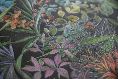 Обои виниловые Джангл мотив, чёрный цветной Обои виниловые Джангл мотив, чёрный цветной